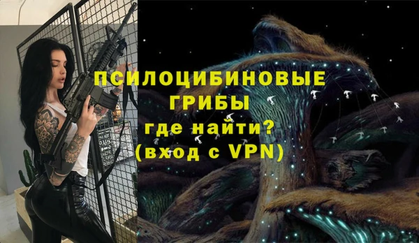трава Абаза