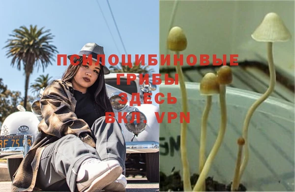 мяу мяу кристалл Абдулино