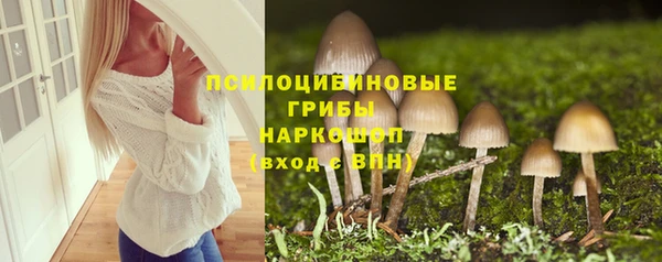 трава Абаза