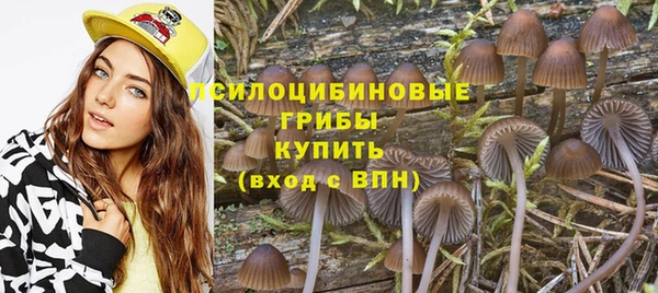 соль ск Абинск