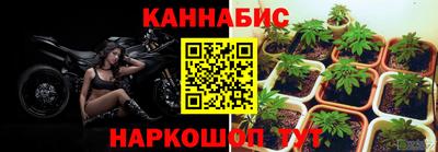 прущие крисы Дубна