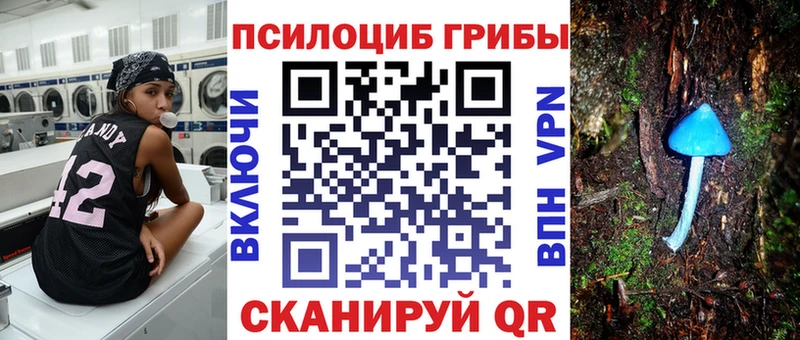 OMG ONION  Сафоново  Галлюциногенные грибы мицелий 