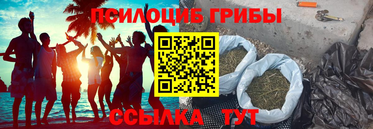 Сафоново  Галлюциногенные грибы Cubensis  хочу   Вход с VPN  Галлюциногенные грибы MAGIC MUSHROOMS 